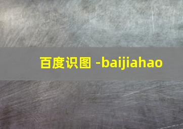 百度识图 -baijiahao